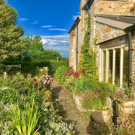Octon Lodge Taunton Extérieur photo