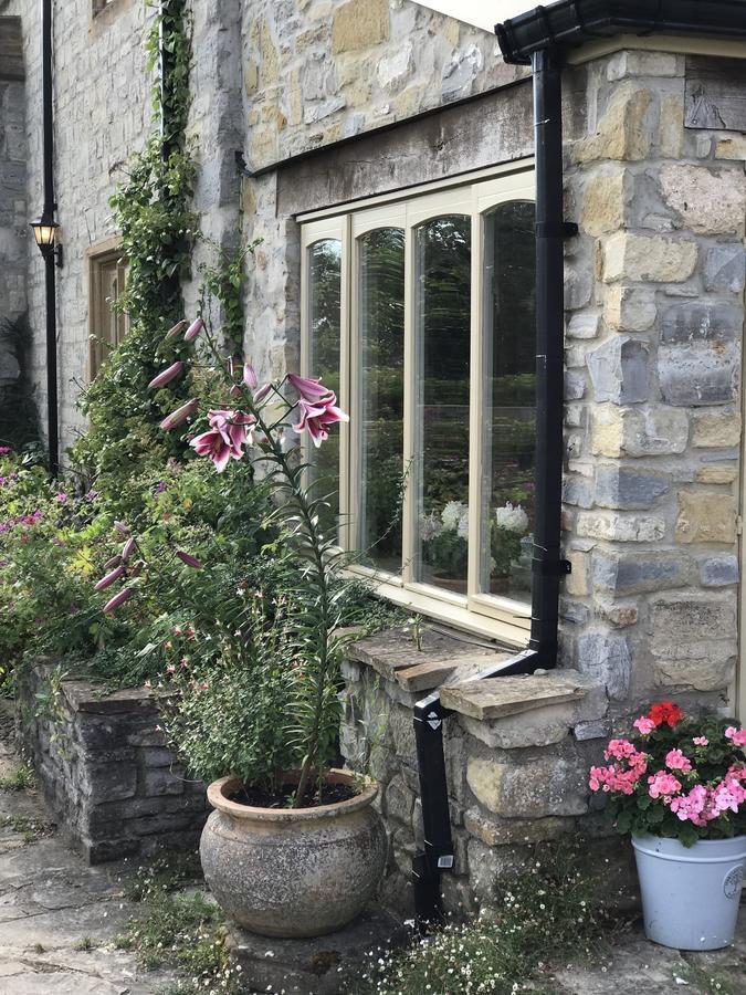 Octon Lodge Taunton Extérieur photo